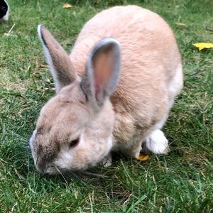 Meet your Posher, Jenny